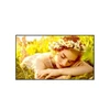 Kép 1/6 - LG 24 / 7 Signage kijelző 43" 43UL5Q, 3840x2160, 500cd / m2, HDMIx3 / RS-232C / RJ45 / USBx2 LG