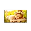 Kép 1/3 - LG 24 / 7 Signage kijelző 86" 86UL5Q, 3840x2160, 500cd / m2, HDMIx3 / RS-232C / RJ45 / USBx2 LG