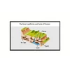 Kép 2/2 - LG 98" 98TR3PJ Interaktív Digital Signage