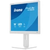 Kép 6/15 - iiyama Prolite monitor, TN,  19", 1980S-W1, 1280x1024, 5:4, 250cd, 3ms, HDMI / DP, fehér Iiyama