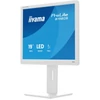 Kép 7/15 - iiyama Prolite monitor, TN,  19", 1980S-W1, 1280x1024, 5:4, 250cd, 3ms, HDMI / DP, fehér Iiyama