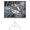 Kép 1/2 - FUNSCREEN 118" (4:3) manuális hordozható vetítővászon (Méret:180x240 cm) Funscreen