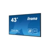 Kép 3/14 - iiyama Prolite IPS 18 / 7, 42,5" 1920x1080, 16:9, 350cd, 8ms, 1200:1,VGA / HDMIx3 / USB / RS-232c x1 / RJ45x1 / IR x1 LE4341S-B2 Iiyama