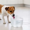 Kép 7/10 - Nedis PETWF21WT ívókút / szökőkút macskáknak / kutyáknak NEDIS