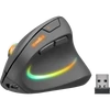 Kép 1/11 - SPEEDLINK SL-630026-BK Piavo Pro újratölthető függőleges ergonomikus egér - vezeték nélküli, gumi-fekete SPEEDLINK