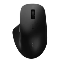 RAPOO 00220693, "M50 Plus" Wireless Silent Optical Mouse, black Rapoo