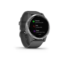 Garmin vivoactive 4 shadow gray / silver eeu
