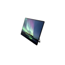 RICOH Portable Monitor 150 projektor