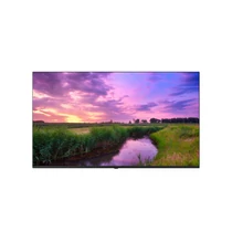 LG 55" 55UN342H 4K UHD Hotel TV