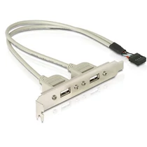 DELOCK Hátlapi kivezetés > 2x USB 2.0 Type-A Delock