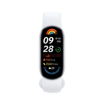 Xiaomi Smart Band 9 Glacier Silver / BHR8340GL