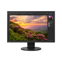 EIZO 24" CS2400S "CS" monitor, fekete