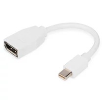 DISPLAY PORT ADAPTER CABLE MINI DP -DVI (24+5) M/F 0.15M DP 1.1