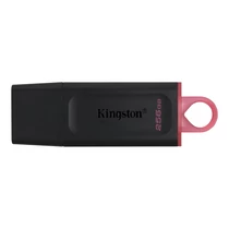 Kingston 256GB USB3.2 DataTraveler Exodia (DTX/256GB) Flash Drive