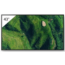 Sony 43" Pro BRAVIA LCD 500nit w/3yr PS