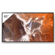 Sony 65" Pro BRAVIA LCD 400nit w/3yr PS