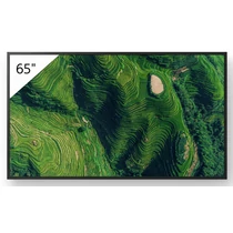 Sony 65" Pro BRAVIA LCD 500nit w/3yr PS