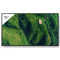 Sony 75" Pro BRAVIA LCD 500nit w/3yr PS