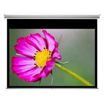 FUNSCREEN 108" (16:9) Premium motoros álmenyezeti vetítővászon (Méret: 240x135 cm, Látható méret:230x129 cm) Funscreen