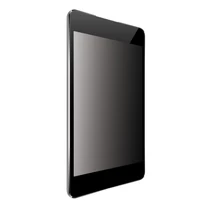 PRIVACY FILTER 4-WAY PLUG-IN FOR APPLE IPAD 10.9 (2022)PRIVAC