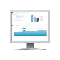 EIZO 19" S1934H-GY "S" monitor, szürke