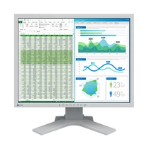 EIZO 21" S2134-GY "S" monitor, szürke