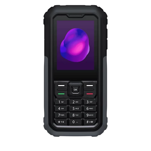 TCL 3189D DS 4G - Grey