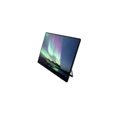 RICOH Portable Monitor 150 projektor