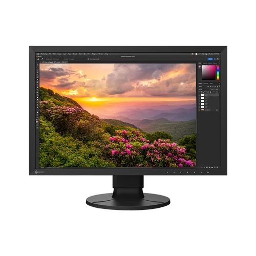 EIZO 24" CS2400S "CS" monitor, fekete