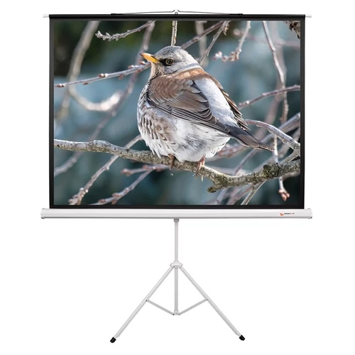 FUNSCREEN 118" (4:3) manuális hordozható vetítővászon (Méret:180x240 cm) Funscreen