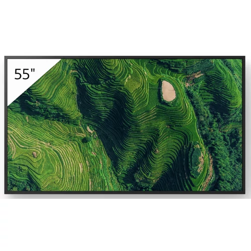 Sony 55" Pro BRAVIA LCD 500nit w/3yr PS