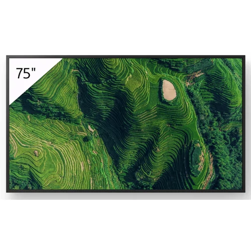Sony 75" Pro BRAVIA LCD 500nit w/3yr PS