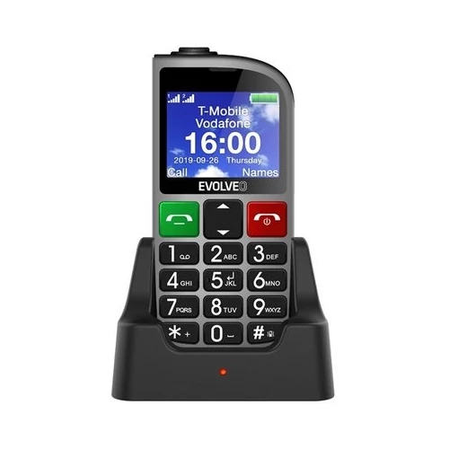 Evolveo easyphone fm (ep800) silver