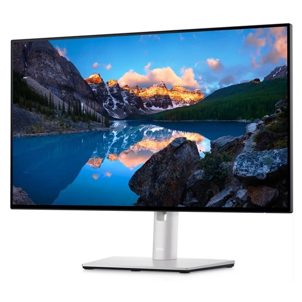 DELL LCD Monitor 23,8