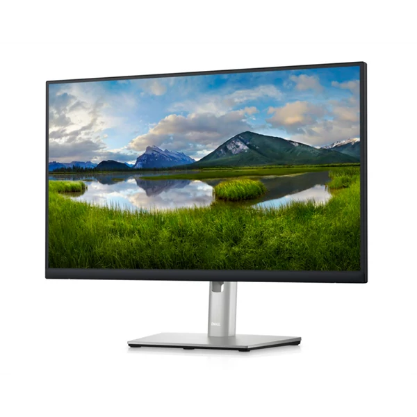 DELL LCD Monitor 23,8