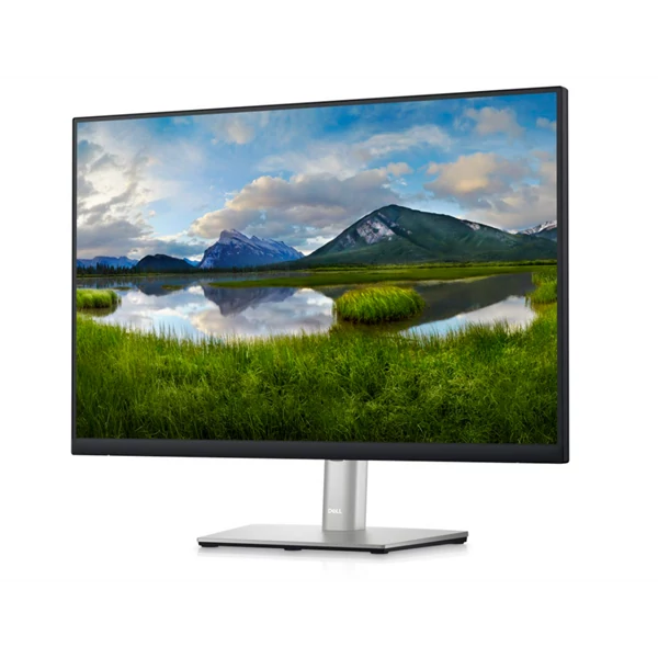 DELL LCD Monitor 24