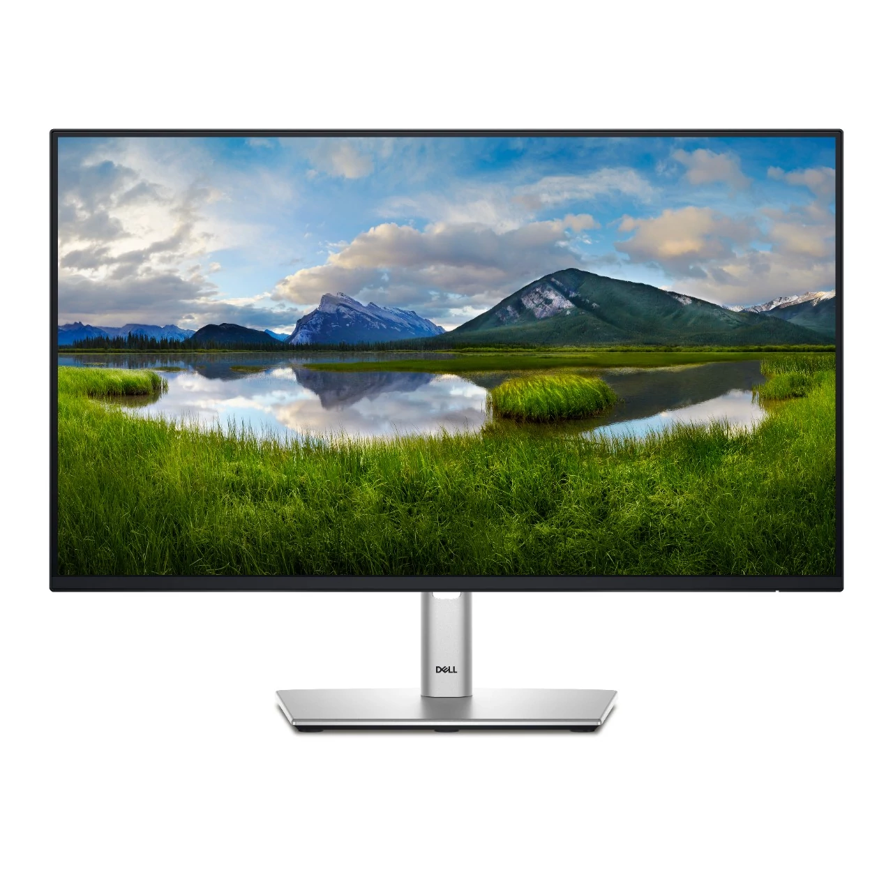 Dell P2425 24