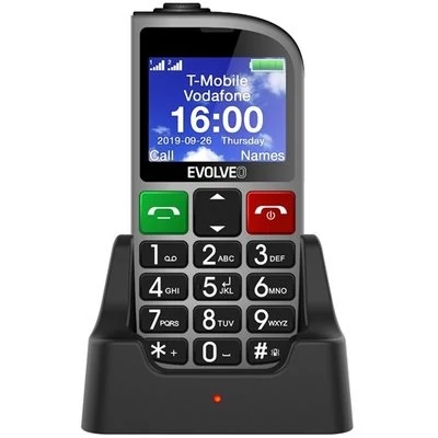 Evolveo easyphone fm (ep800) silver